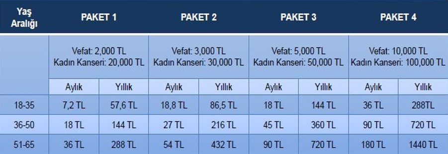 DSC - Fibaemeklilik - Pembe Kurdele